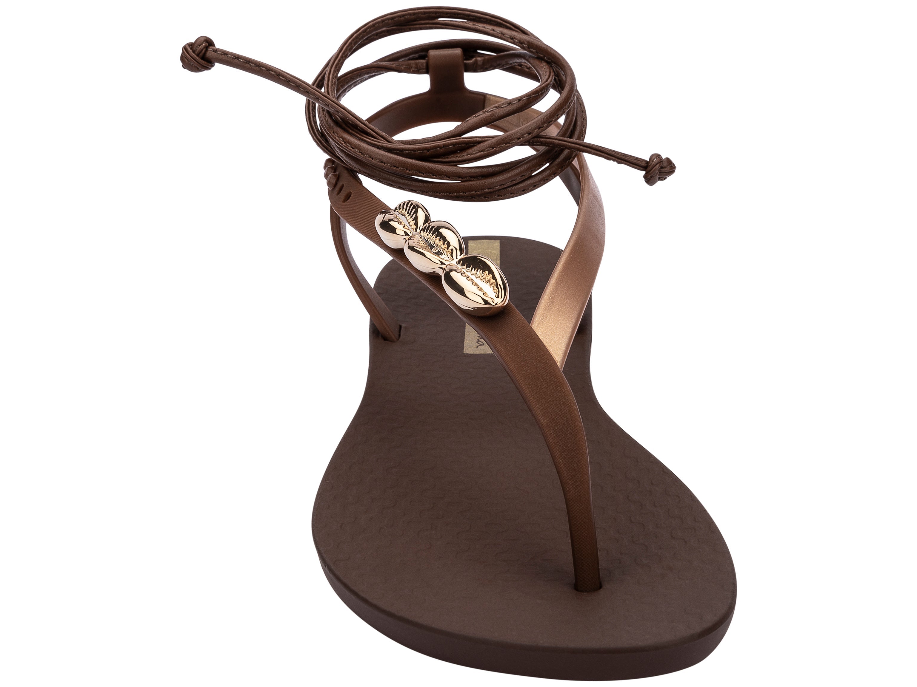 Front view of a brown Ipanema Salty Strappy women's sandal with ankle tie up and 3 gold shells on the strap.