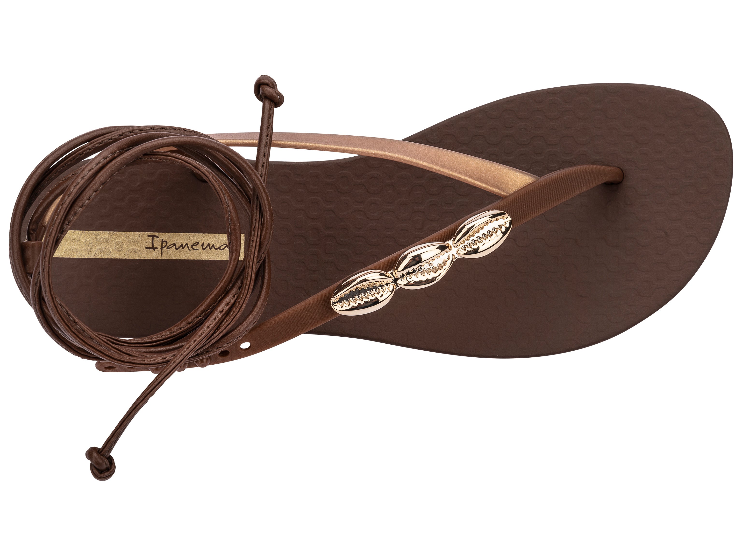 Top view of a brown Ipanema Salty Strappy women's sandal with ankle tie up and 3 gold shells on the strap.
