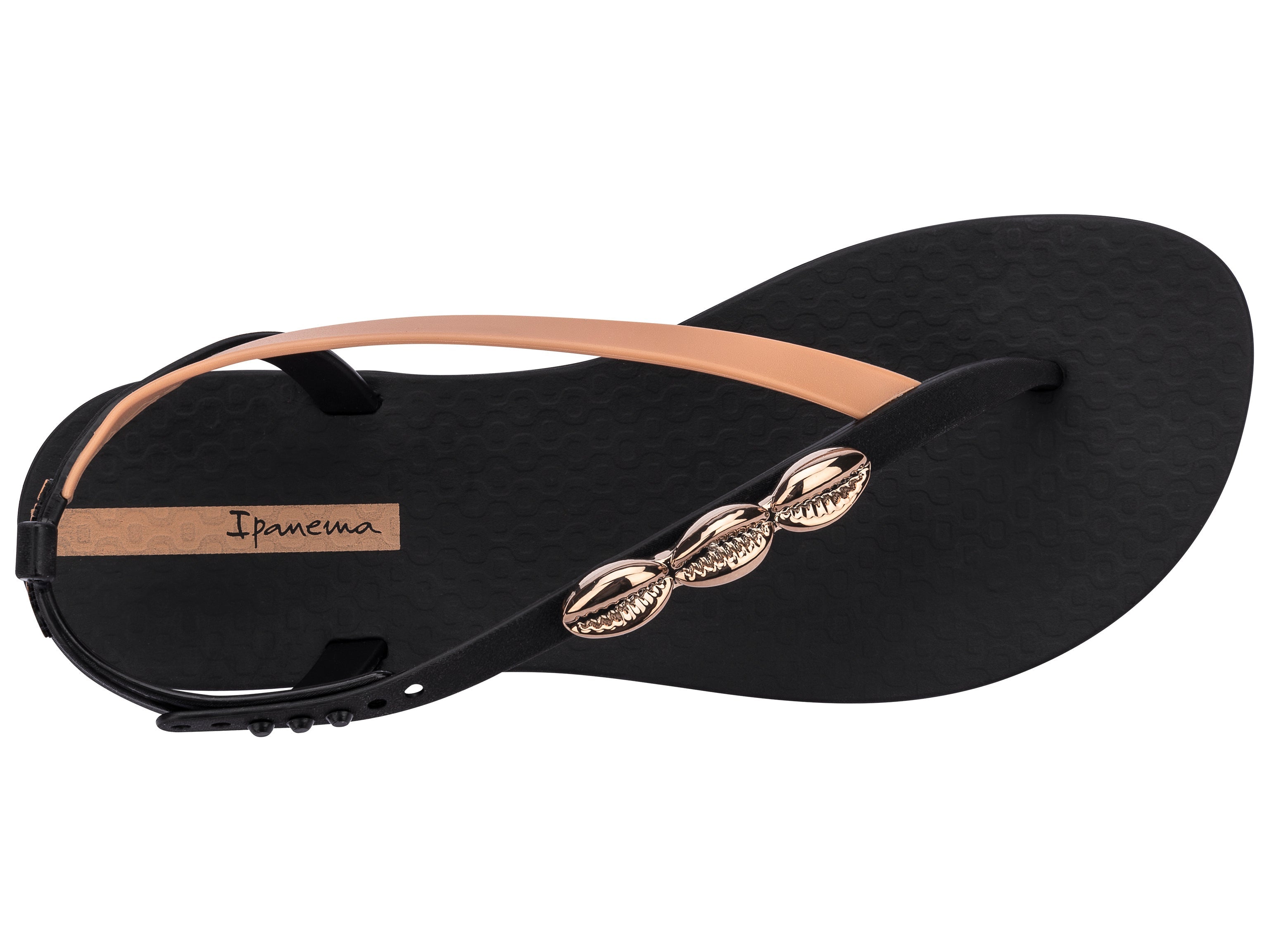 Top view of a black Ipanema Salty women's sandal with 3 gold shells on the strap.